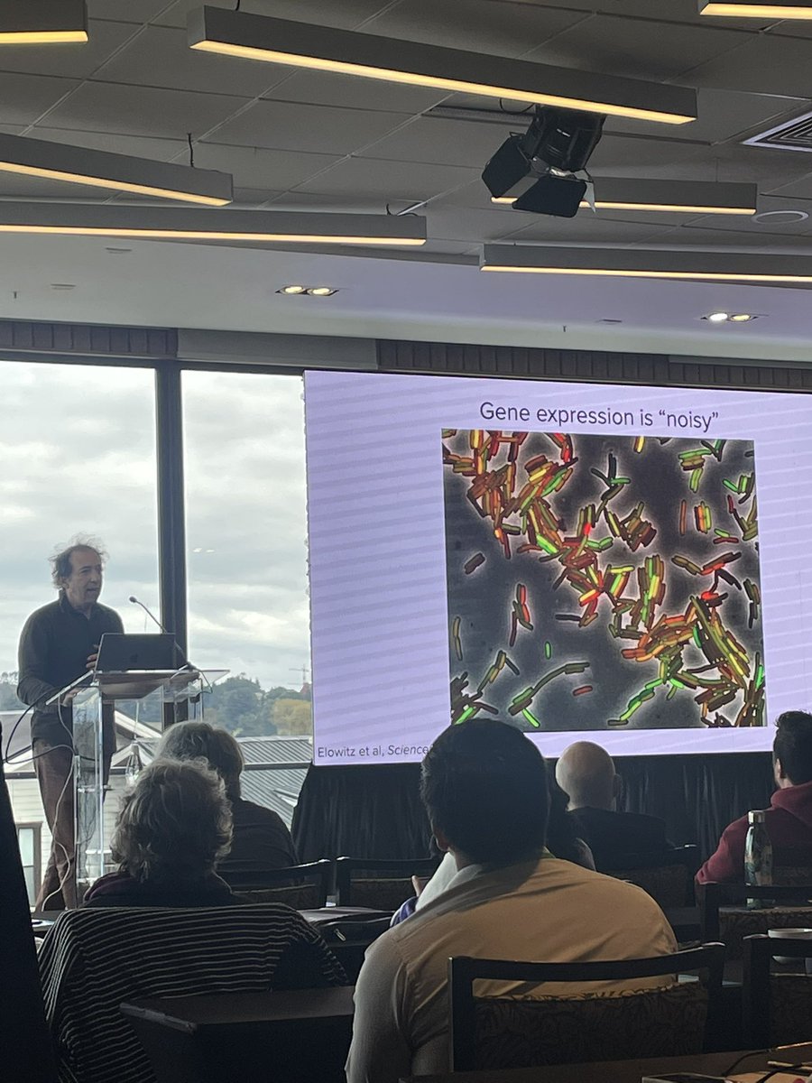 Del 29 de septiembre al 3 de octubre se llevó a cabo en Hotel cabaña la IV MOLECULAR BIOSYSTEMS CONFERENCE “EUKARYOTIC GENE REGULATION AND FUNCTIONAL GENOMICS”

Te esperamos     visitpuertovaras.cl