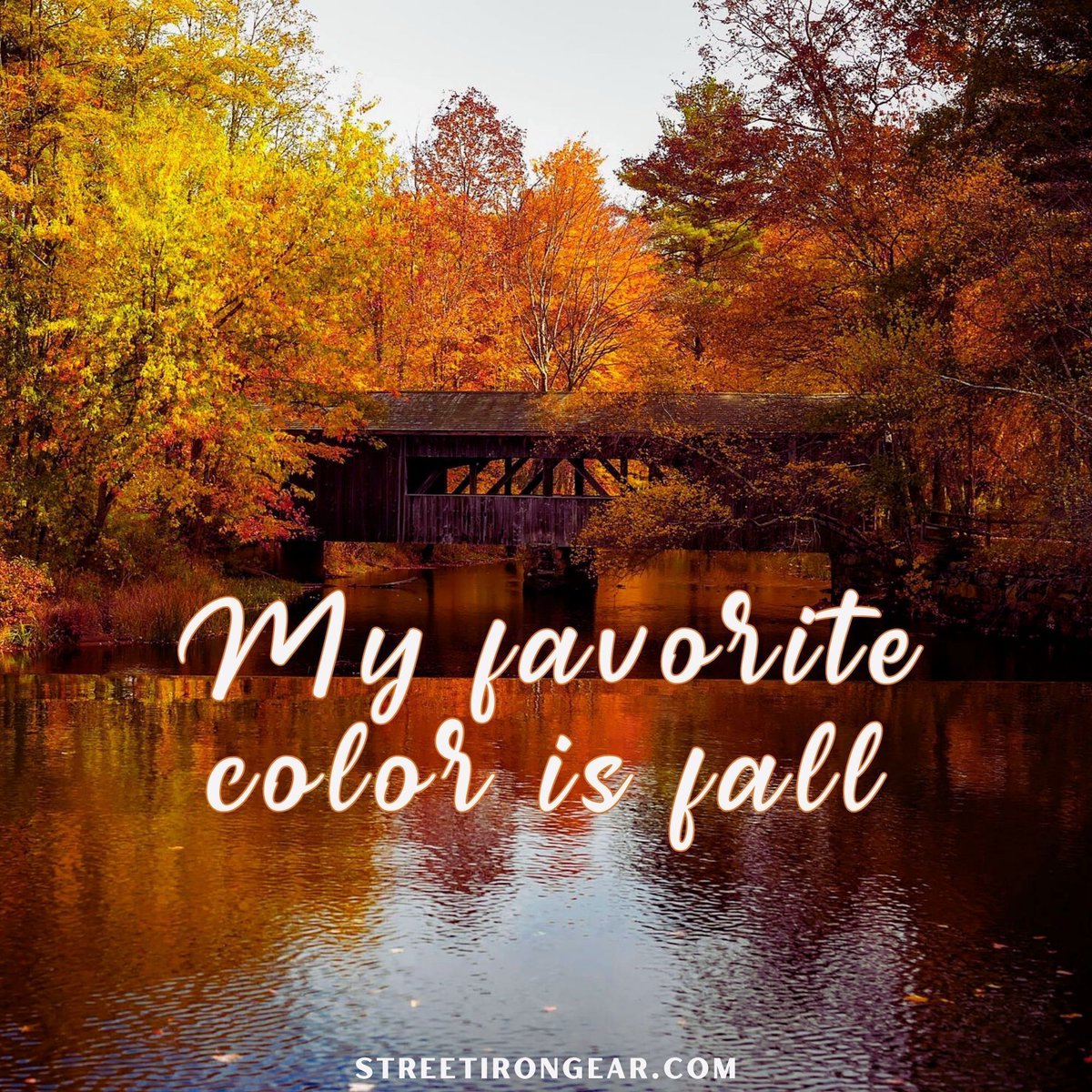 StreetIronGear's tweet photo. #AutumnVibes #FallAdventures #LeafPeeping #RoadTripReady #AdventureTime #ExploreMore #CrispAirRides #AutumnInspo #TravelGram #NatureLover https://t.co/szfFPK7ON2