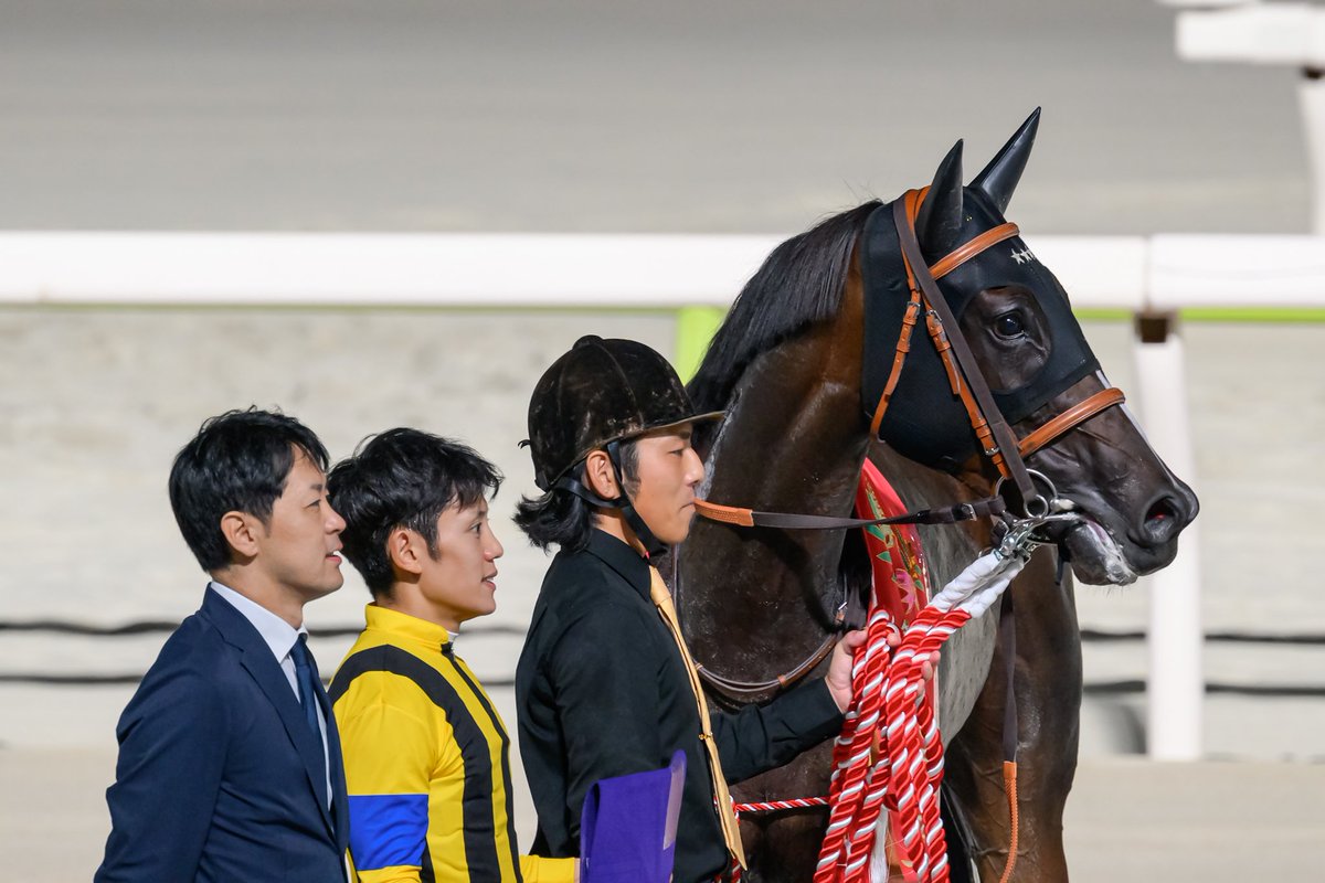 TYs730's tweet photo. 2025/10/7 大井競馬場11R レディスプレリュード(Jpn2)
優勝馬 ビヨンドザヴァレー(栗東・橋口きゅう舎)
初のダートで重賞V。見ることができて良かった!
#レディスプレリュード #ビヨンドザヴァレー #大井競馬場
#roadtojbc #競馬写真 #キリトリセカイ https://t.co/6sDsm92Wh7