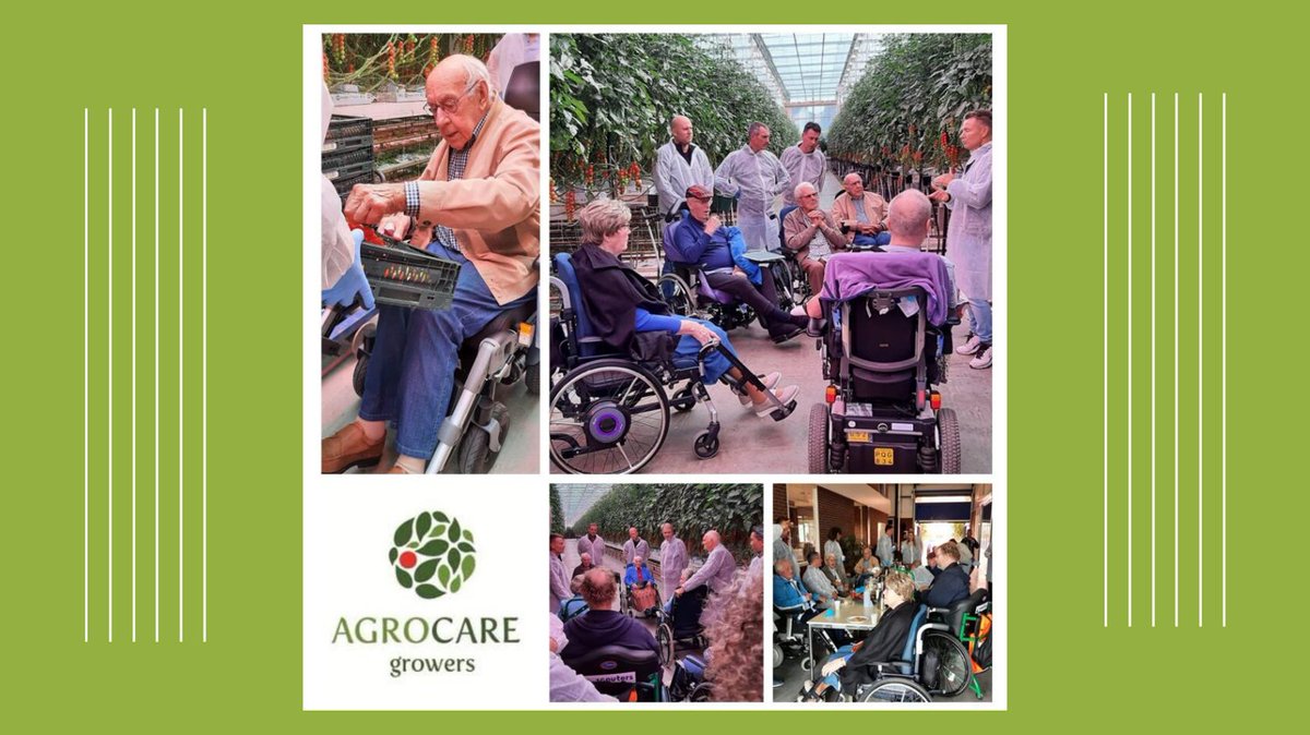 Bewoners van De Kreek genoten van een bijzondere middag bij tuinbouwbedrijf AgroCare in Maasdijk 🍅 Samen met medewerkers kregen ze een kijkje achter de schermen van de moderne tomatenteelt 🌿 Een dag vol gesprekken, plezier en persoonlijke aandacht 💚