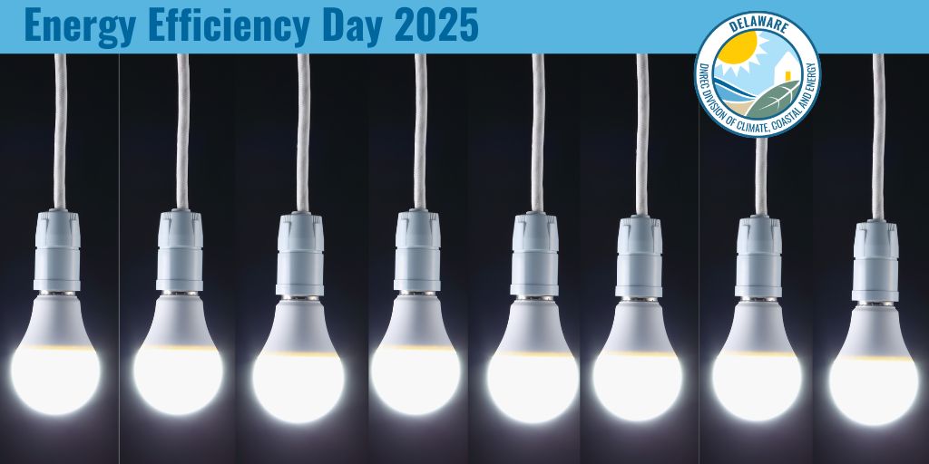 October 7 is National LED Light Day. Did you know that LED lights save on energy costs because of lower power consumption. They are also highly reliable and they have a long lifespan, meaning you are saving money by not having to replace them so often. #NationalLEDLightDay