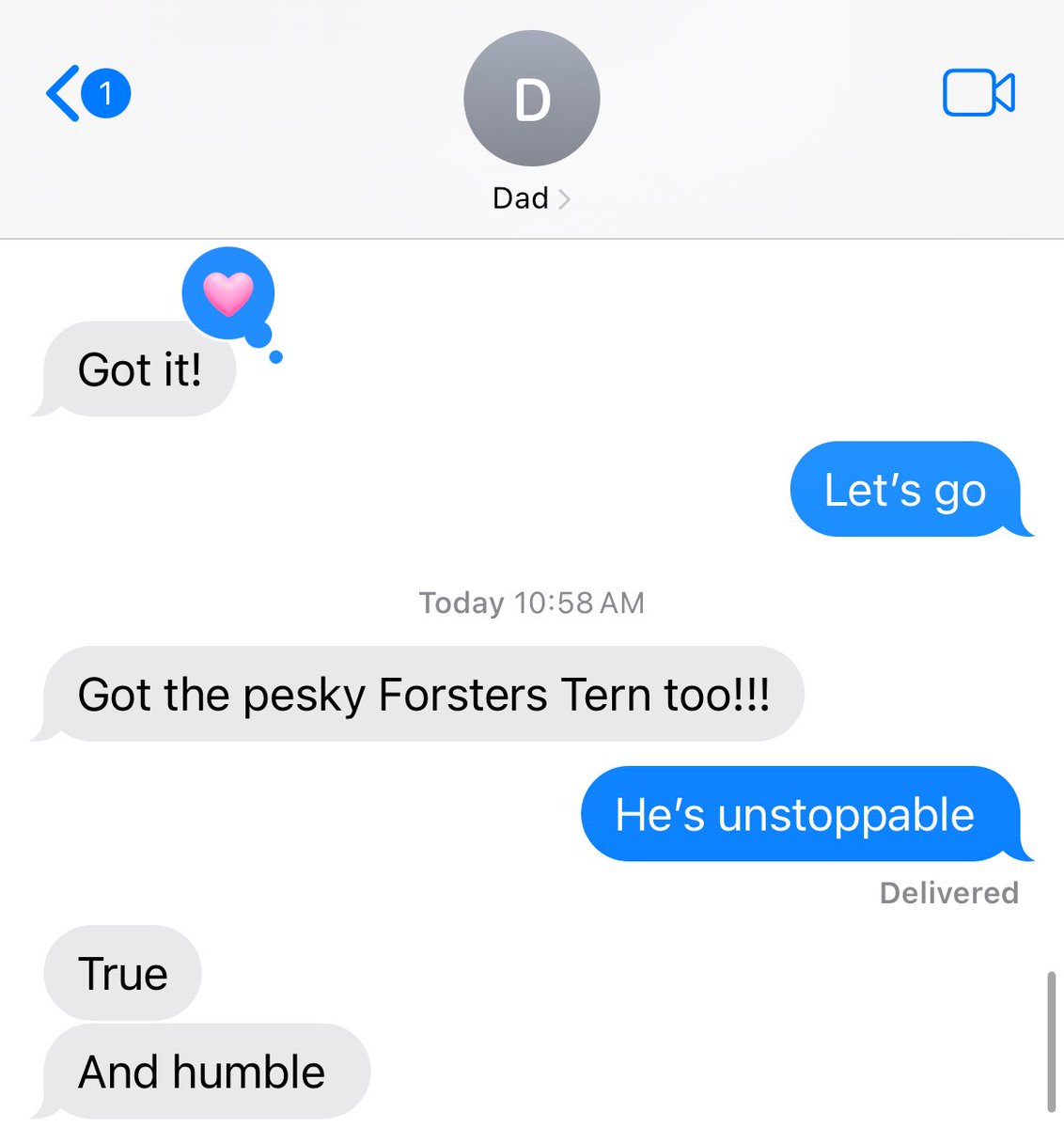 I know everyone was really invested but he did end up finding the Thrush and the Tern