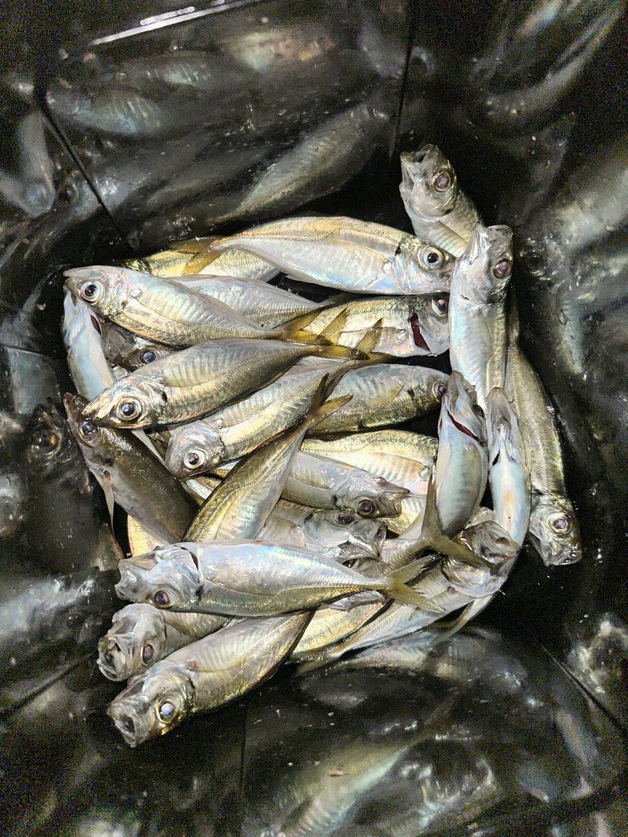満足満足