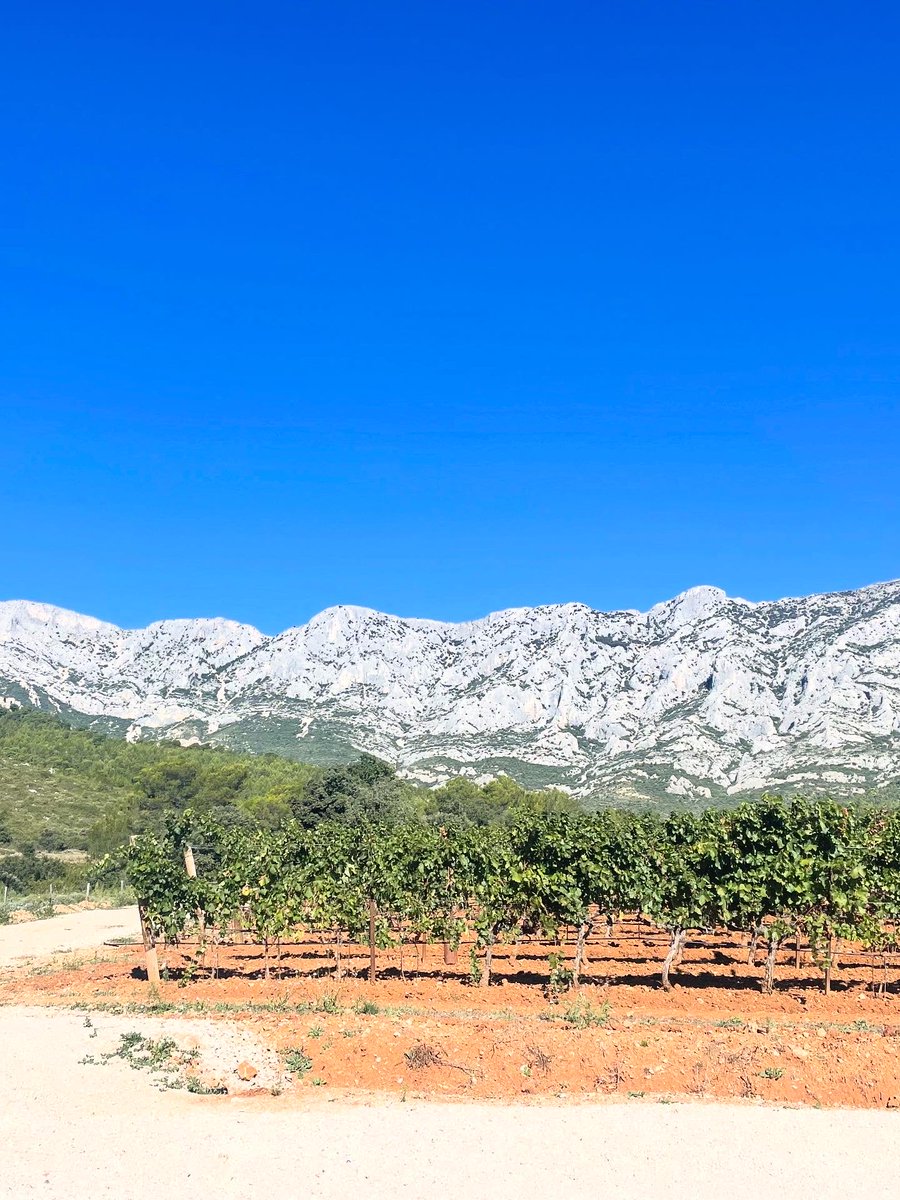 willem_kool's tweet photo. #lifeiskool ondertussen in @franceinfo aan de voet van rotsberg @SainteVictoire_ is het fantastisch genieten van de wijngaarden en natuur.
@Aix_Provence @aixmaville @SainteVictoire_ @cezanneart @ https://t.co/kSNnJRp2q1