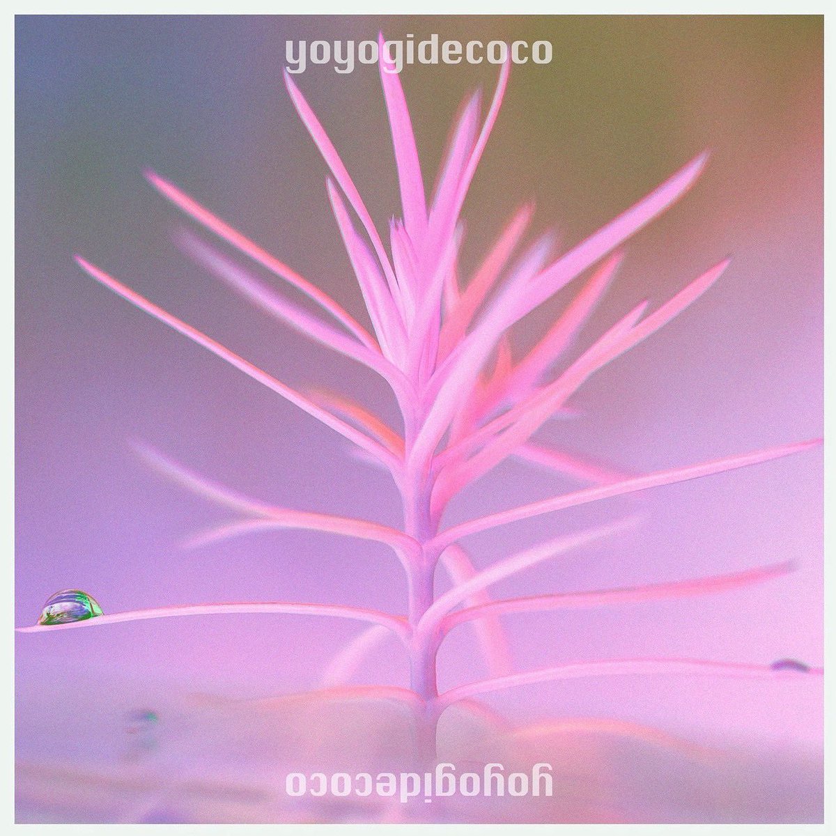 yoyogi_decoco's tweet image. ‧✧̣̇‧New release‧✧̣̇‧

⌒⌒⌒⌒⌒⌒⌒⌒⌒⌒⌒⌒⌒⌒⌒⌒
1st EP 『yoyogidecoco』

2025.10.08(wed)0:00~
digital release

各音楽サービスにて配信開始️️ 𖥔 ࣪ 
pcim.lnk.to/yoyogidecoco

⌒⌒⌒⌒⌒⌒⌒⌒⌒⌒⌒⌒⌒⌒⌒⌒