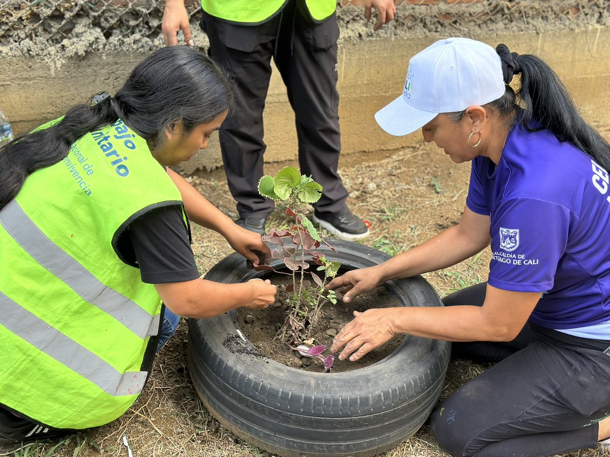 Desarrollo Territorial y Participación Ciudadana tweet media