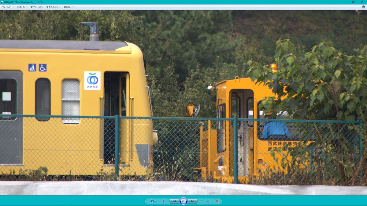 アホ(天才)(有名人) (@SEMI_SAYAMASHI) / X