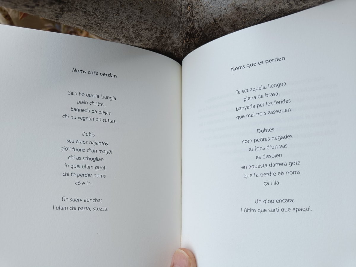 Jessica Zuan: "Stremblidas e s-chima / Tremolors i escuma", traducció i epíleg de Dolors Udina i Antoni Clapés, pròleg de Denise Mützenberg. Edició bilingüe romanx/català, Llibres del Segle, Girona, 2023.