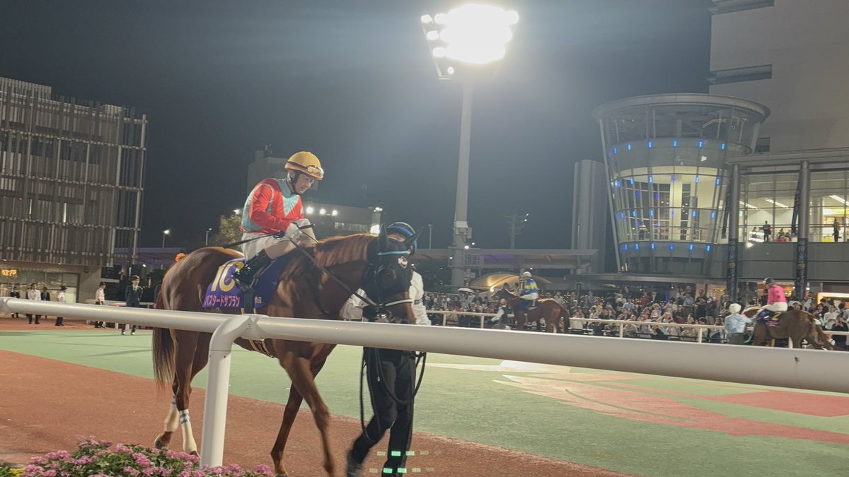 cbkdatta's tweet image. 競馬部活動楽しすぎました…
レディスプレリュードで推しの酒井学騎手の首ポンポンが目の前で見れて幸せ…!(動画はわたしの感嘆のため息が入ってます笑)
マジで勝つかと思ってゴール前でめっちゃ応援してすごいエキサイトした。最高に楽しかった🙌