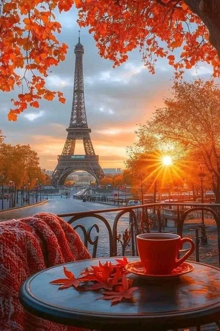 David Melo (@_davidmelo92) on Twitter photo Una tarde de otoño en París ☕️ 🍂 Una tarde de otoño en París ☕️ 🍂