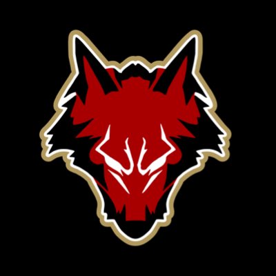 AlphasOnlyPack's tweet photo. #NewProfilePic https://t.co/pgiX8DC8c6