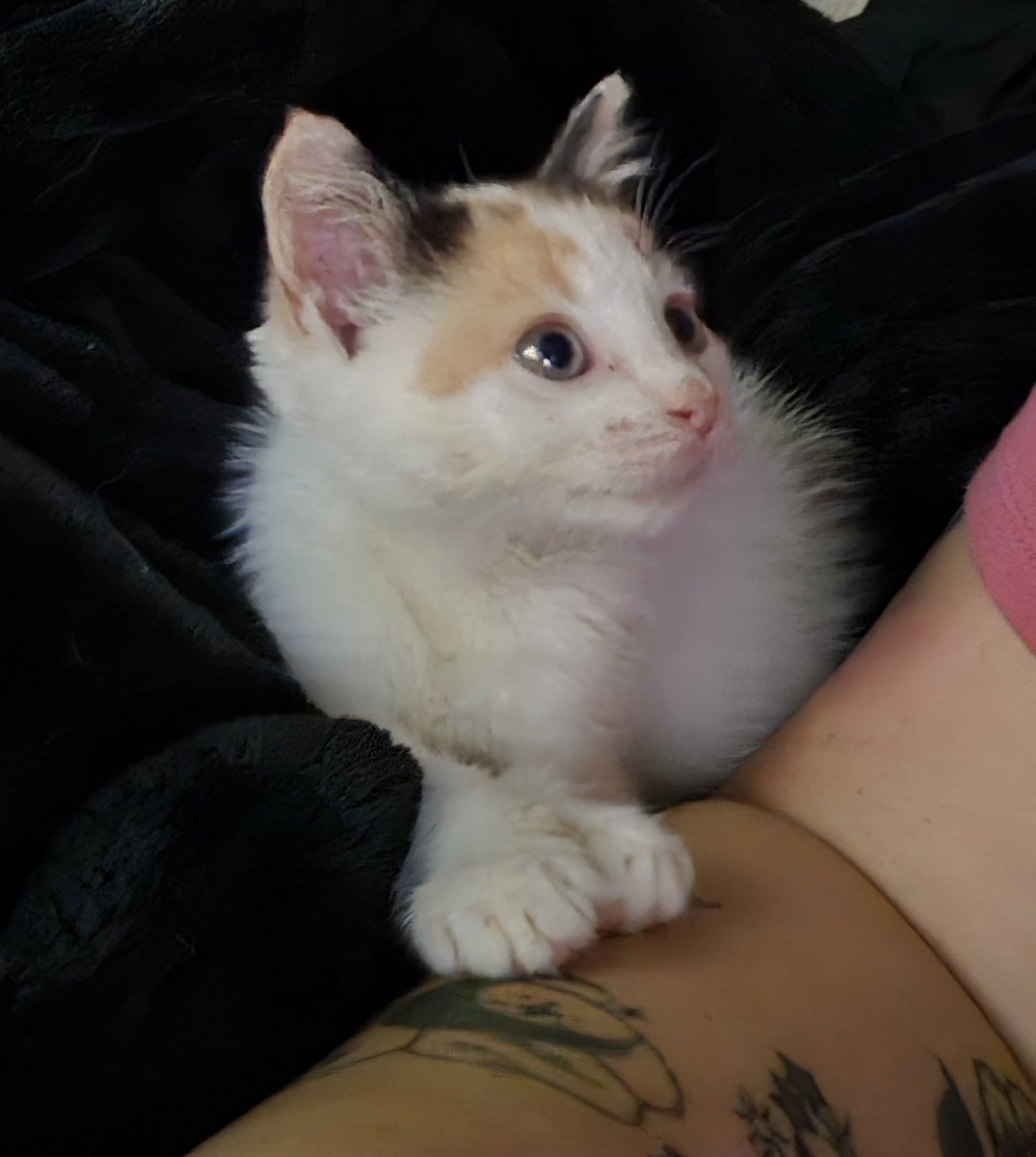 Brooke317 tweet media