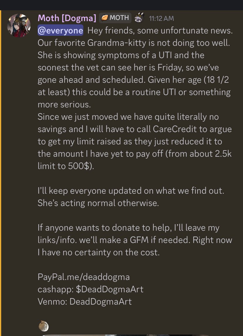 deaddogma's tweet photo. Grandma Kitty is going to the vet Friday. 

Anything helps. 

We just went to my boyfriend’s best friend’s funeral on Saturday so this timing is not great. 🥲 https://t.co/az3yA6CAPe