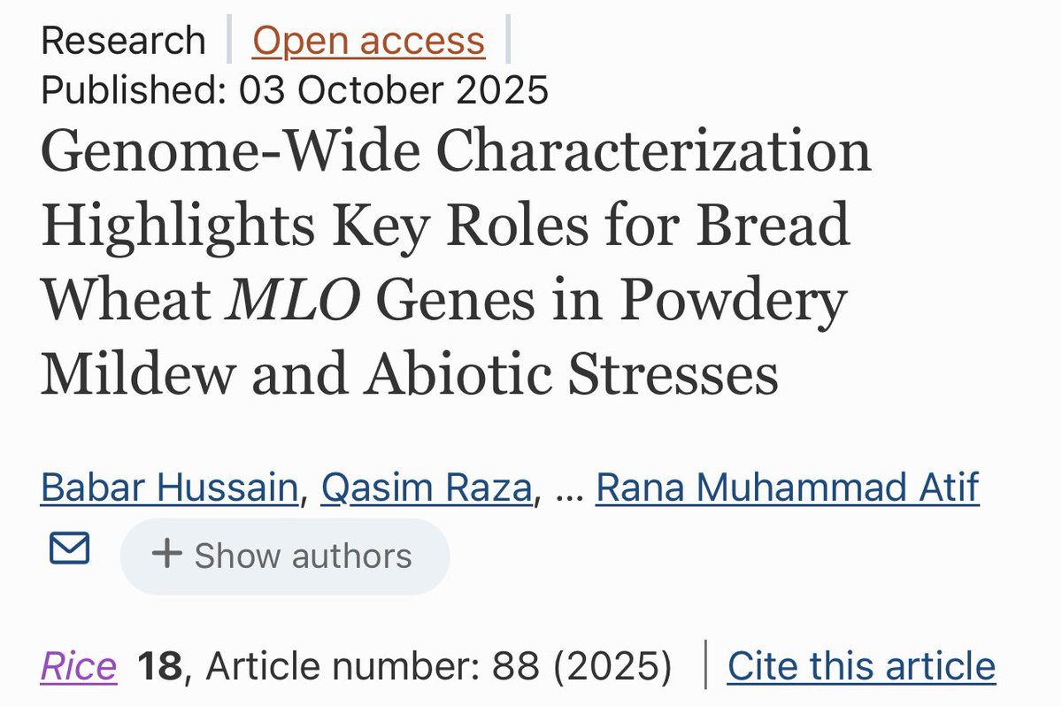 QasRxa's tweet photo. Recent collaborative research published in @SpringerNature #Rice. We characterized #MLO family members in #wheat 🌾, which could be exploited in future #breeding programs for development of #powdery_mildew resistant and climate resilient cultivars. 

https://t.co/OOi8EssCjz https://t.co/Lsa6CL8KIn