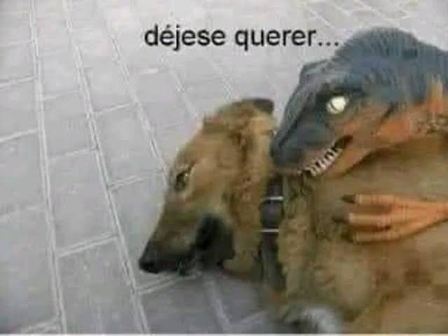 Aldo: te amo Arón
Aarón: felicidades 
.. ay Aarón ya te cancelaron una vez por no dejarte querer, no aprendes 
#Aldron #ALDOGANADOR #LaCasaDeAaron