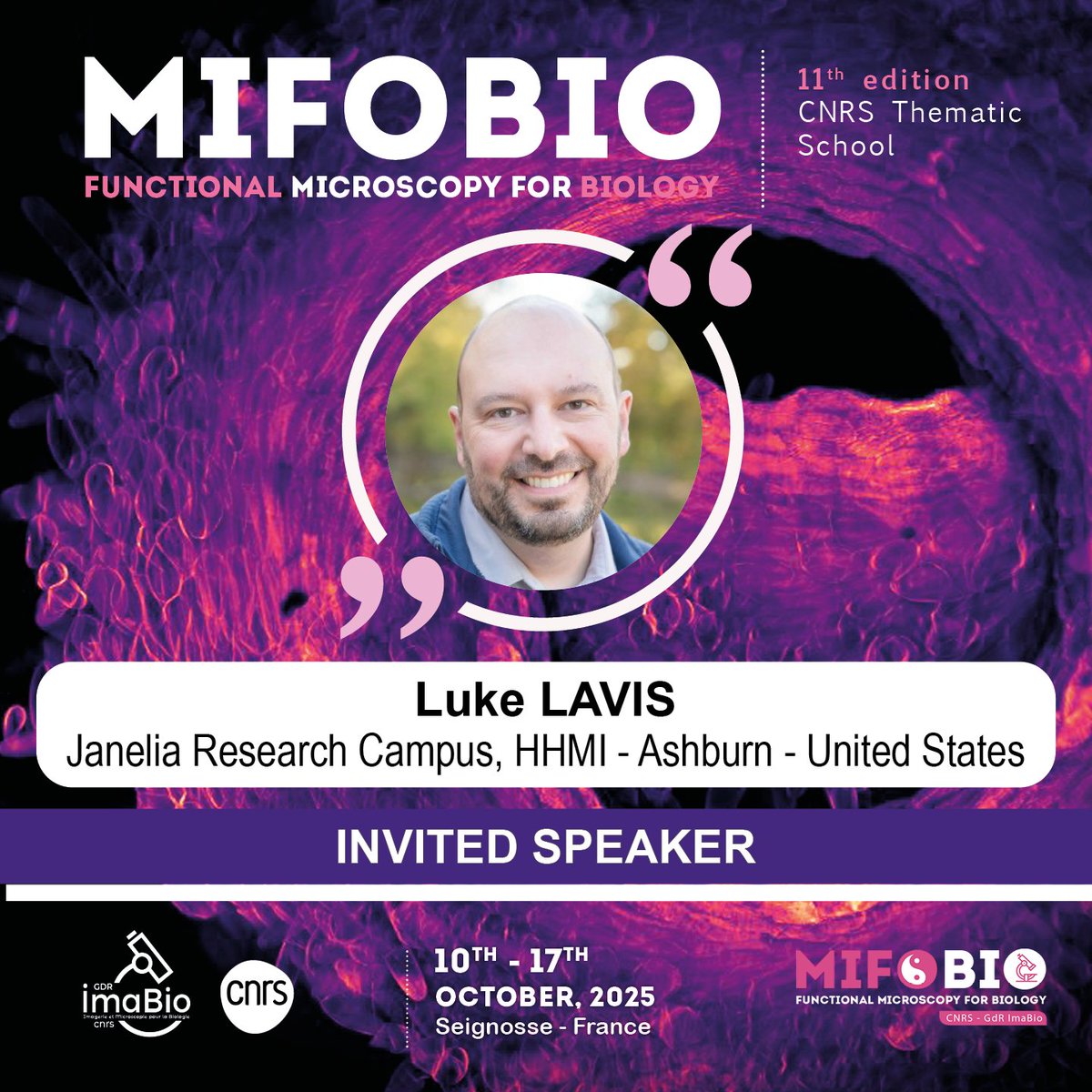 GDR_ImaBio's tweet image. Let&apos;s explore the #Mifobio2025 programme !

👉 Focus on the seminars :

We are delighted to welcome Luke LAVIS
@HHMIJanelia 

🎤 Talk : “turning dyes on and off for biological imaging”

👉 imabio-cnrs.fr

#GDRimabio #Janelia_Research_Campus
#microscopy #bioimaging