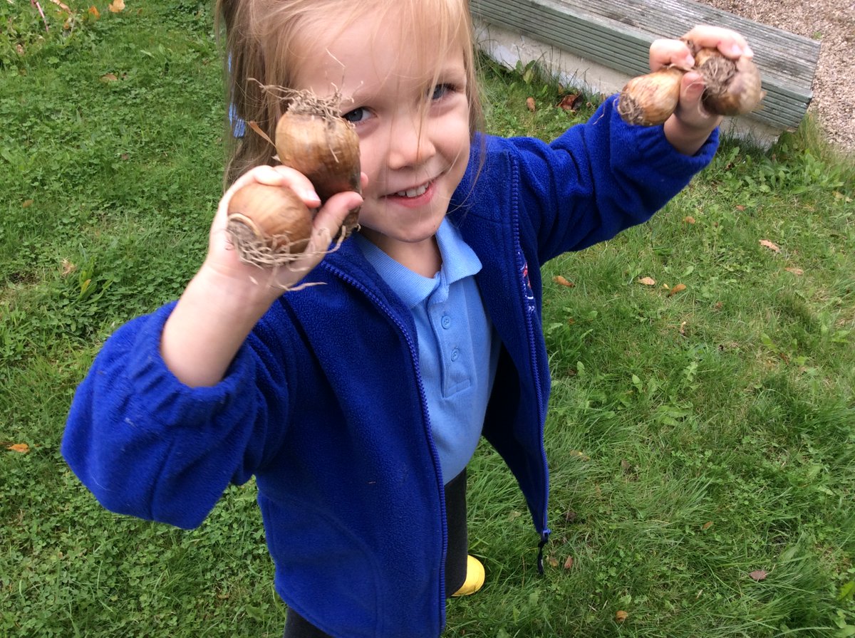 AppleySaintsCE's tweet photo. #ABASYR more photos from our daffodil planting session. #ABASSci @FriendsPrimary @appley_b @WigToday @WN6_Mums @ShevCommunity https://t.co/gfS2Gash9I