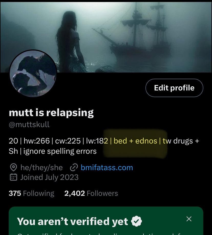 Tweet media one