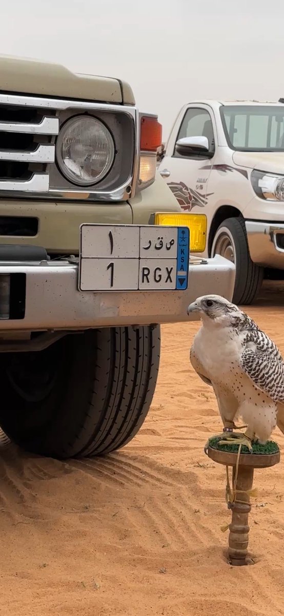 عيد الشمري tweet media