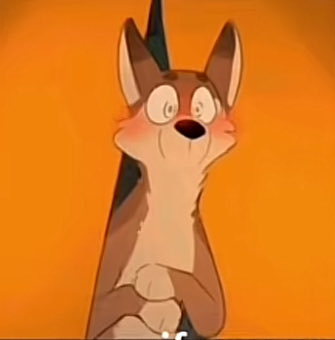 POV: you open the comment section of a TikTok furry video: