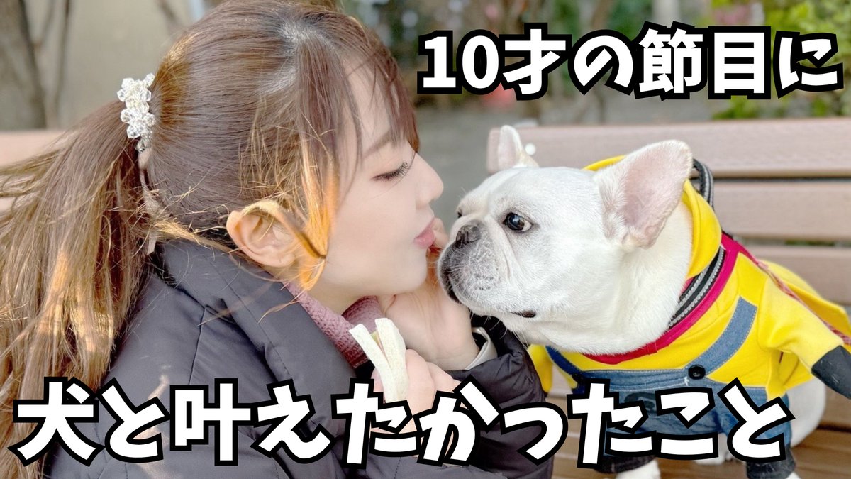 Porco(ポルコ)🐷フレンチブルドッグ (@porco0825) / Posts / X