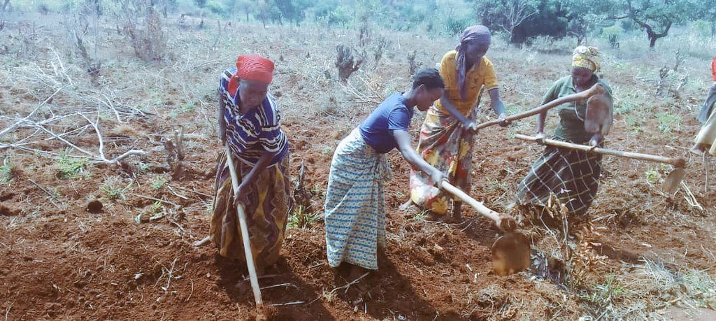 CASA_Bu's tweet image. #CASA members in @BuhumuzaProvinc are preparing the field located in Mugera zone of Gisagara commune, intended for growing corn crop.

#SustainableDevelopment
#DevelopmentForAll
#Unity_is_Strength