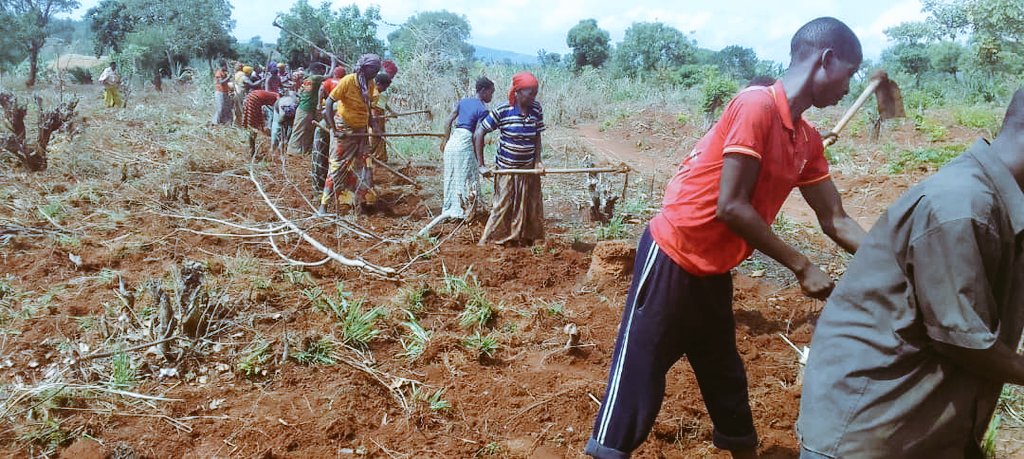 CASA_Bu's tweet image. #CASA members in @BuhumuzaProvinc are preparing the field located in Mugera zone of Gisagara commune, intended for growing corn crop.

#SustainableDevelopment
#DevelopmentForAll
#Unity_is_Strength