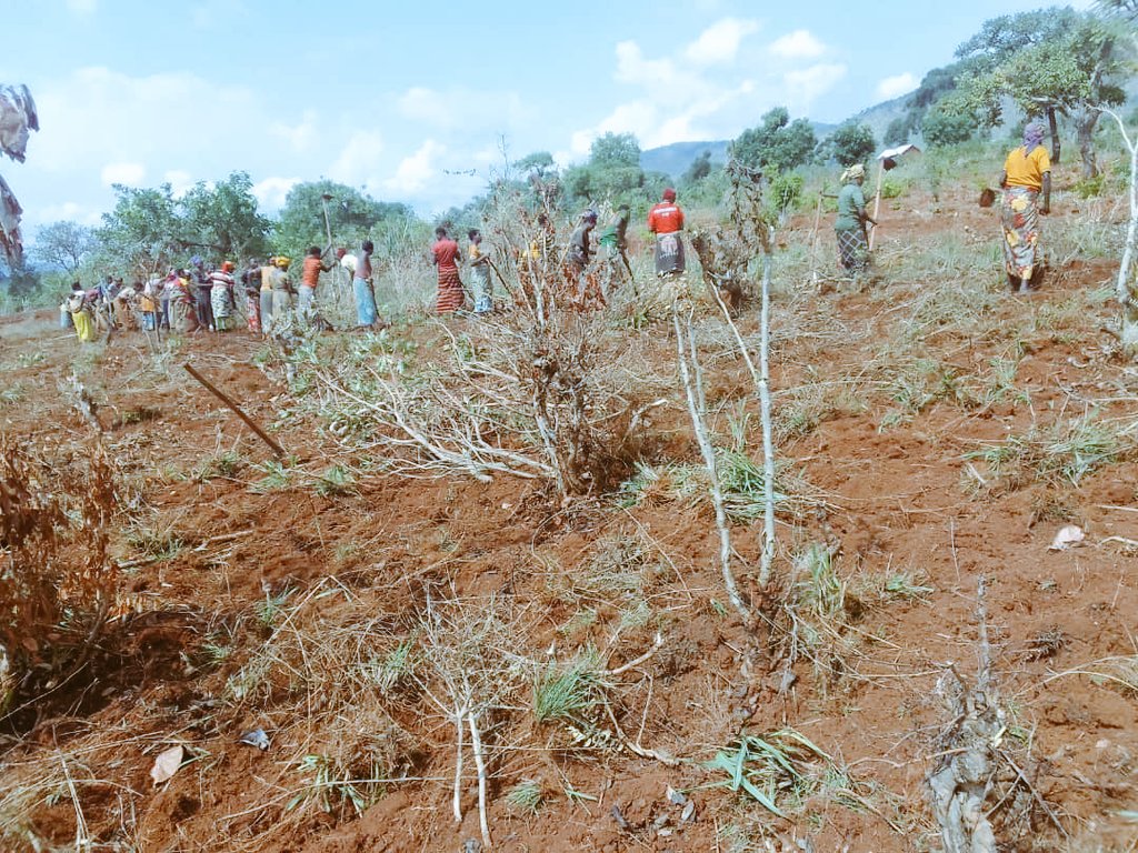 CASA_Bu's tweet image. #CASA members in @BuhumuzaProvinc are preparing the field located in Mugera zone of Gisagara commune, intended for growing corn crop.

#SustainableDevelopment
#DevelopmentForAll
#Unity_is_Strength