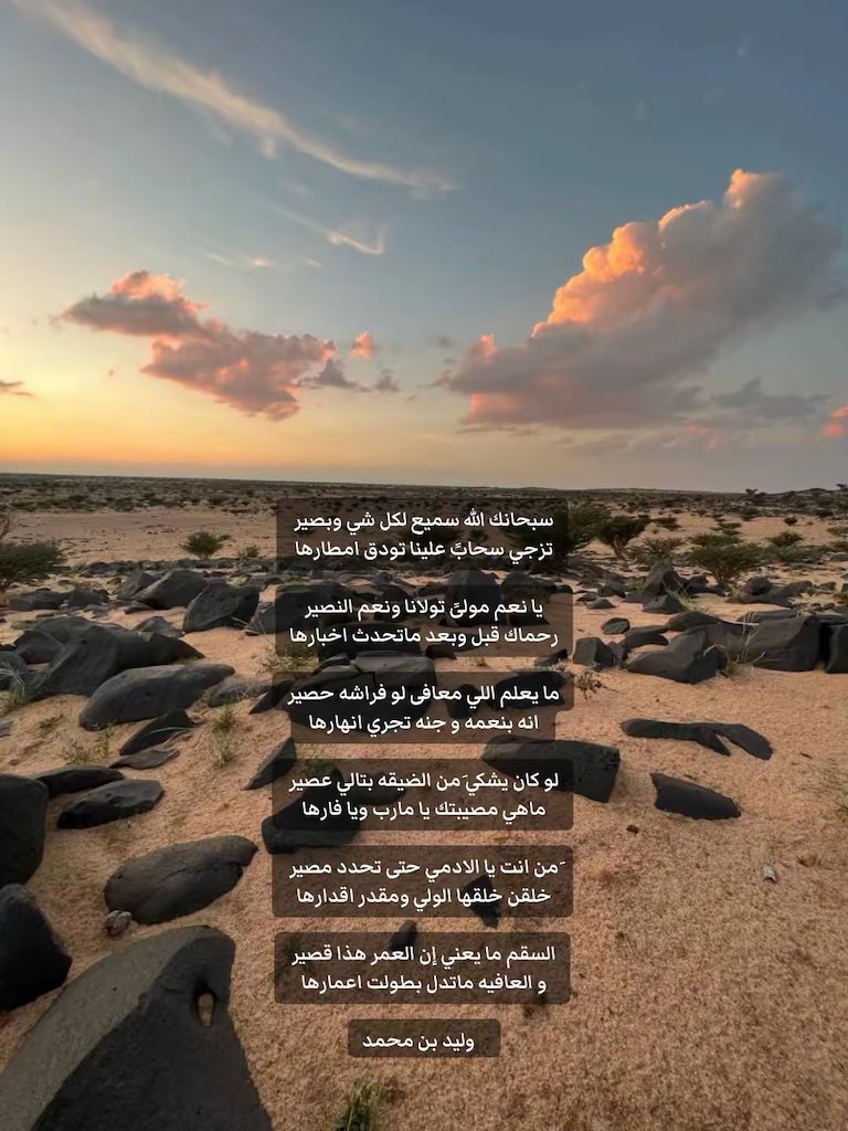 وليد بن محمد tweet media