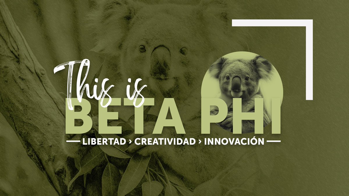 Beta Phi tweet media