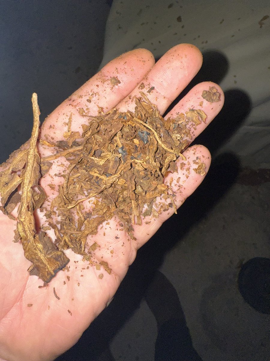 Why you don’t buy junk