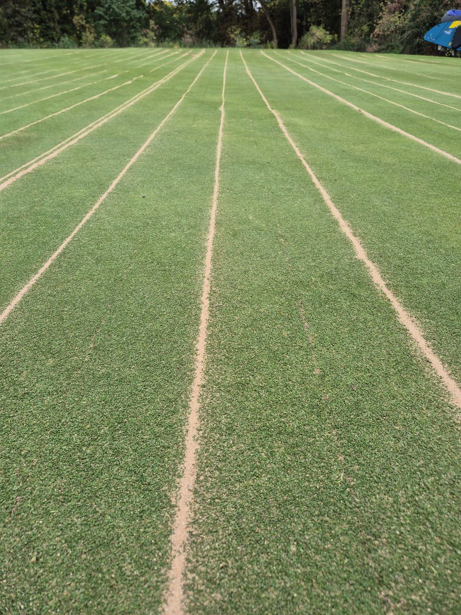 Billy Hayes tweet media