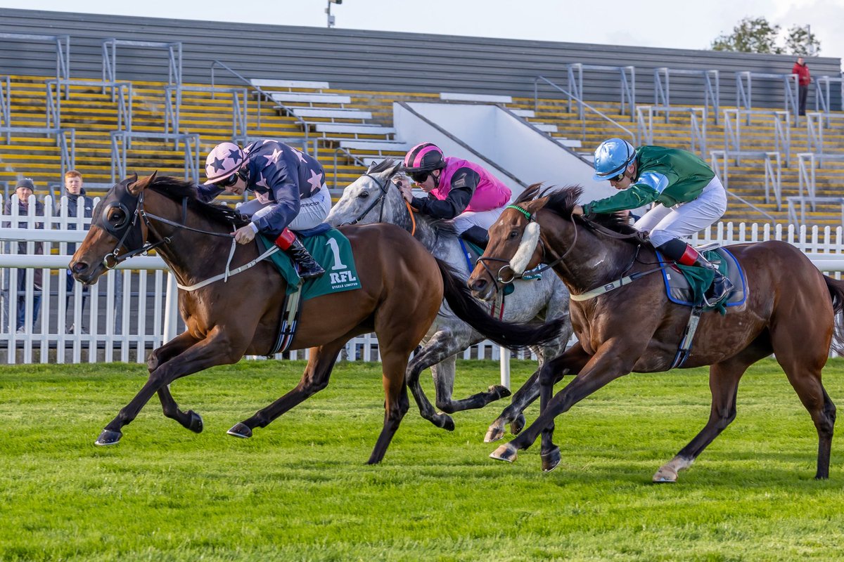 NaasRacecourse's tweet photo. 🔔NEWS🔔
As the season enters the final few weeks, the curtain will come down on flat racing at Naas Racecourse for 2025 this weekend with two cracking days of racing in store🐎
Read all about the entries👉🏼 https://t.co/RxWDvv08ff
#NaasRC #OctoberWeekend #PressRelease https://t.co/NgQZ9csQKo