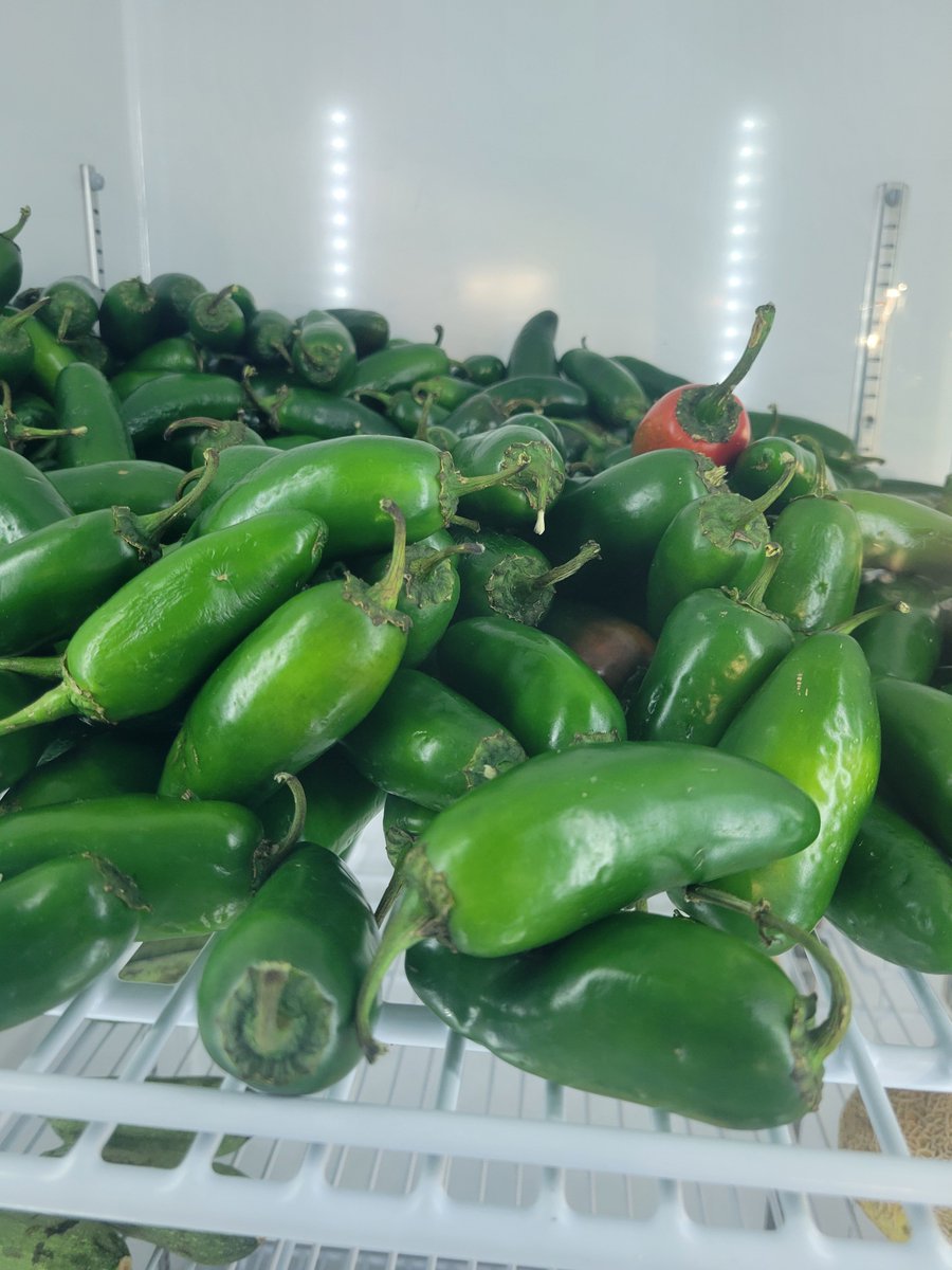 🌮 Happy National Taco Day! 🌮
Add some extra spice to your tacos with fresh jalapeños from Chuco Town Farm!
13410 Chicken Ranch Rd
 Tuesday–Friday: 4–6 PM | Saturday: 12–6 PM

Come shop local and make your tacos taste even better! 🌶️🌾

#chucotownfarm #farmstore #sanelizariotx