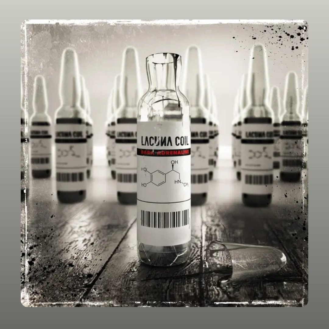 【たかはし様用】THE ABSENCE / Enemy Unbound Japan Gigs