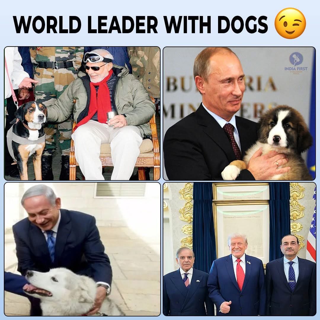 Dr.Suneer Misri tweet media