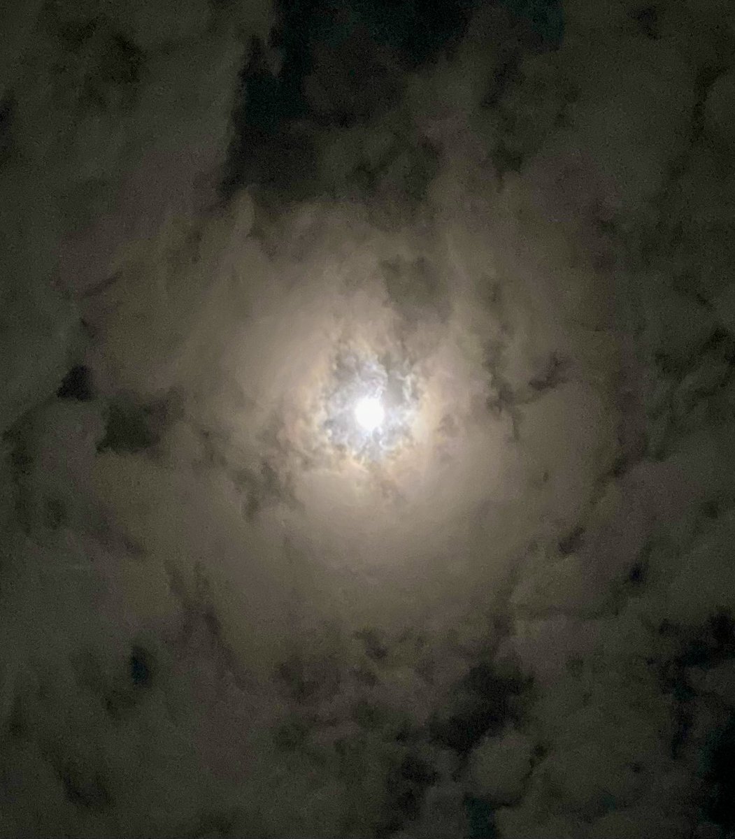10/7僅かに過ぎてしまいましたが

ハーベストムーン🌕満月の空

おやすみなさいませ😴
皆さまの明日が良い日でありますように