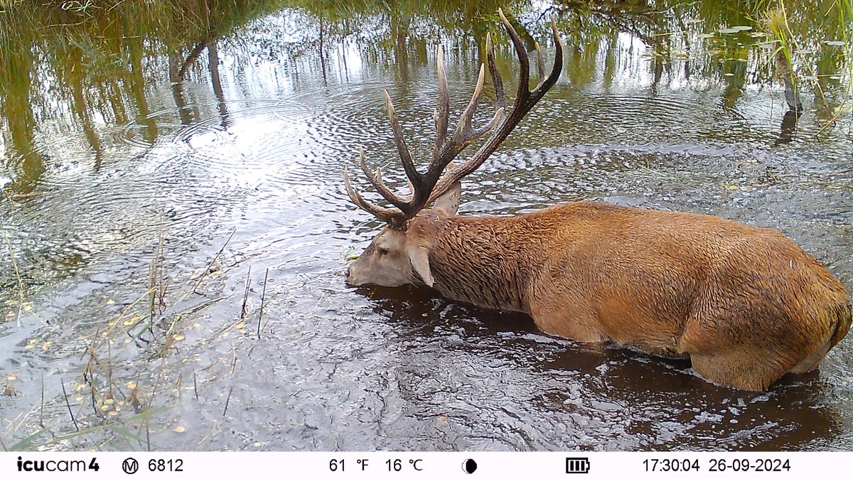 BeyerTorsten's tweet image. Unterwegs in Sachen Ehrenamt 😎