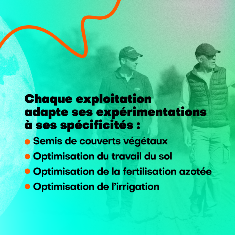 Maisadour's tweet photo. En 2024, avec Mas Seeds, nous avons lancé un réseau de 10 fermes pilotes pour tester de nouvelles pratiques sur 200 hectares : couverts végétaux, optimisation de la fertilisation azotée, du travail du sol et de l'irrigation. Pour en savoir plus ⬇️