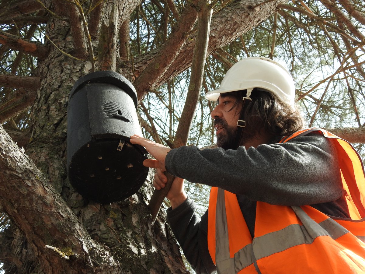 Heidelberg Materials ES (@hd_materialses) on Twitter photo 🌍 Fundación <a href="/TormesEB/">Fundación Tormes-EB</a> ¡25 años cuidando la naturaleza!
Un orgullo colaborar desde hace más de una década con esta entidad, a cargo de la gestión de los planes de biodiversidad en nuestras canteras y referente en la protección del entorno natural.👏
👉 📰tribunasalamanca.com/noticias/41865… 🌍 Fundación <a href="/TormesEB/">Fundación Tormes-EB</a> ¡25 años cuidando la naturaleza!
Un orgullo colaborar desde hace más de una década con esta entidad, a cargo de la gestión de los planes de biodiversidad en nuestras canteras y referente en la protección del entorno natural.👏
👉 📰tribunasalamanca.com/noticias/41865…
