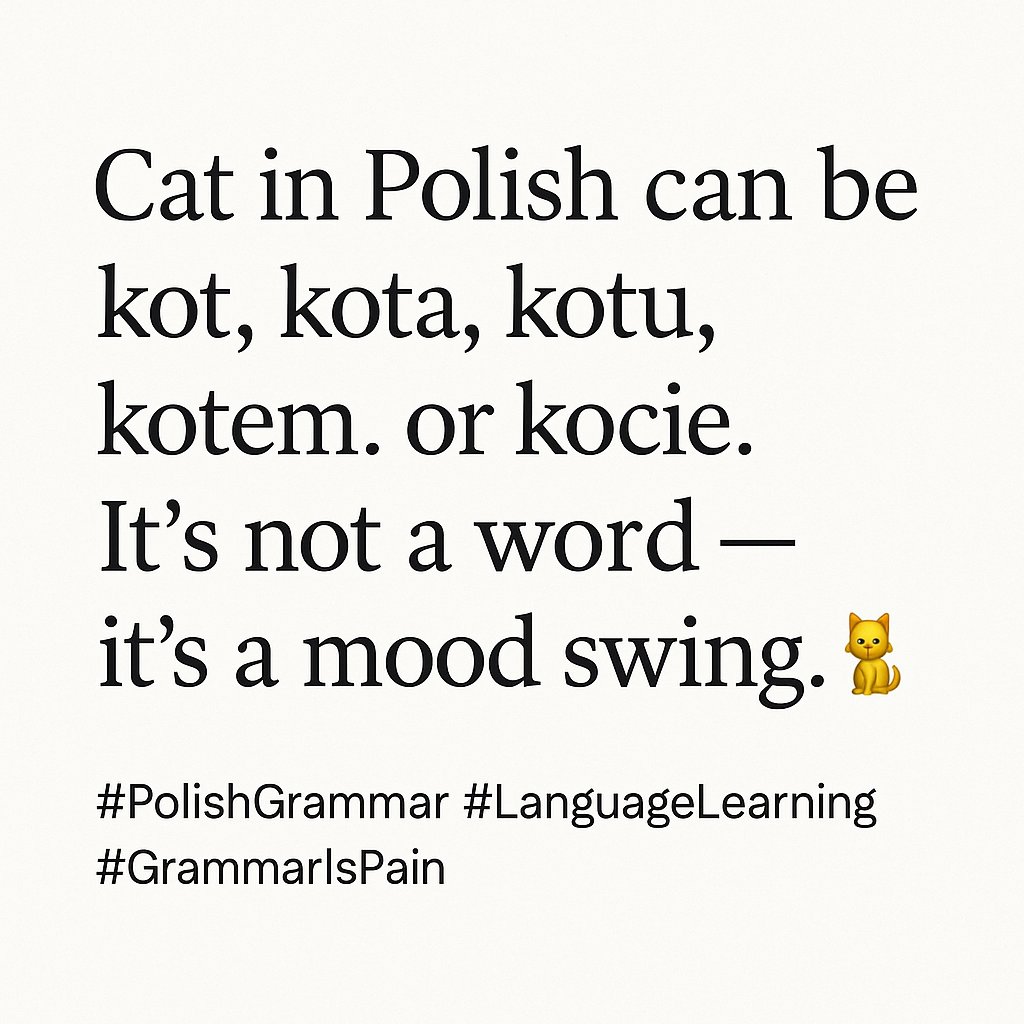 RealSharpByte's tweet image. #PolishGrammar #LanguageLearning #GrammarIsPain