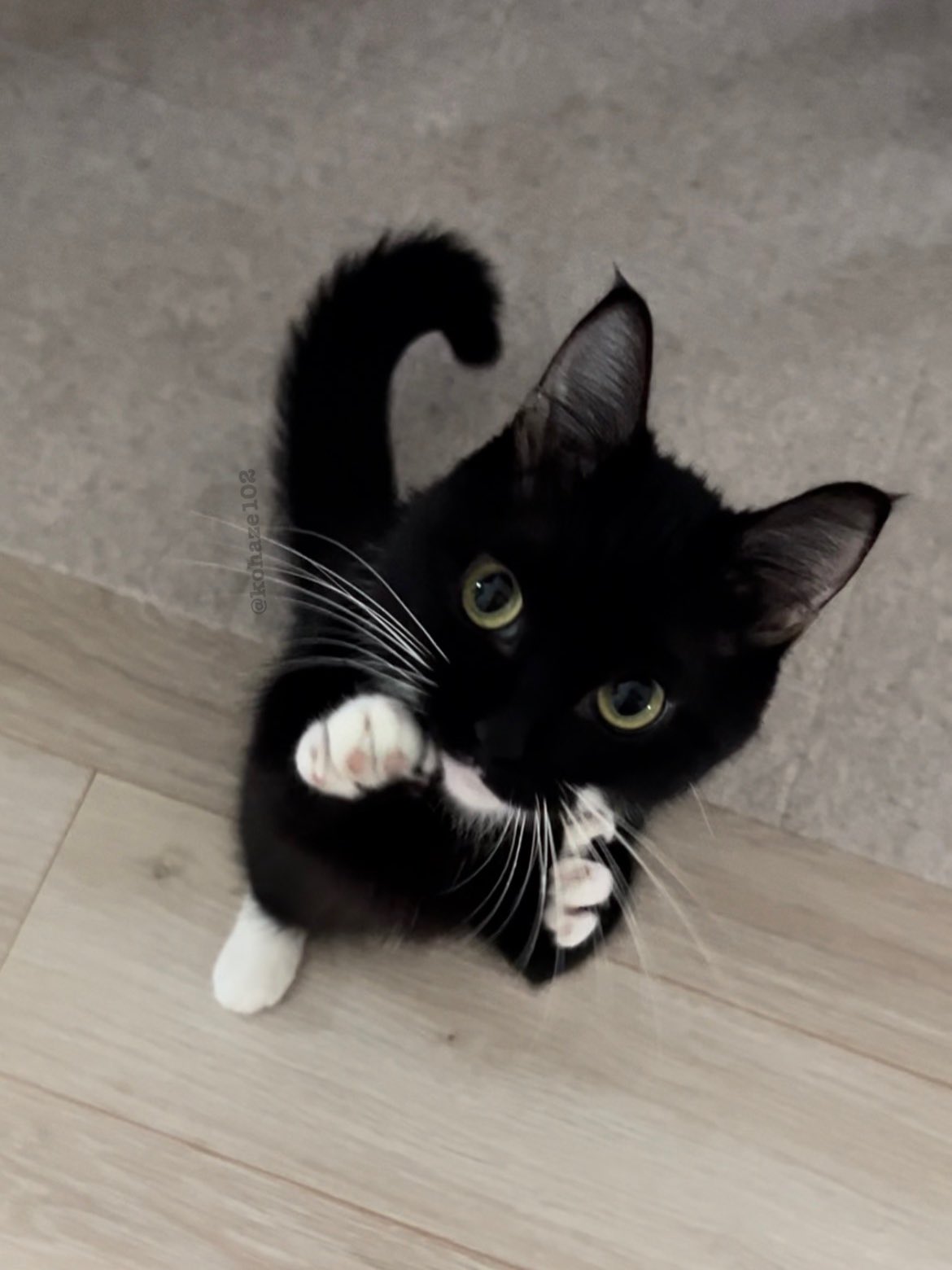 こはぜ (@kohaze102) / X