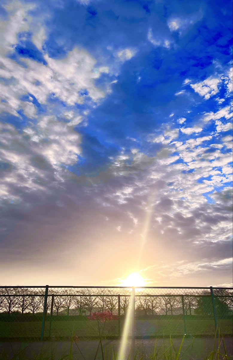 おはようございます☀
いい朝ですね
今日も一日頑張って👍