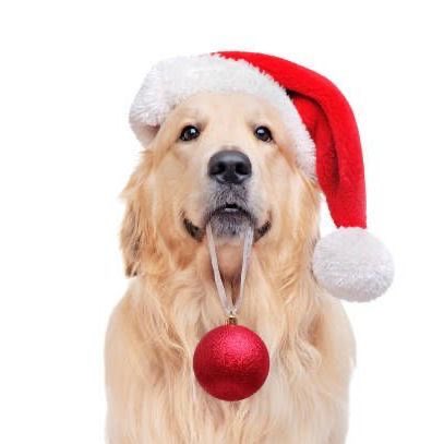 Baker1Pamela's tweet image. shadowdogdesigns.com/blog/make-it-a… @ShadowDogDesign #ArtisanHandmadeChristmas #BMECountdown #Week4