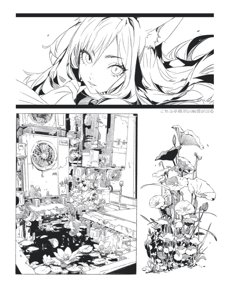 Dem 𓆝 𓆟 tweet media