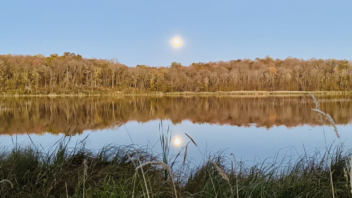 Tonight, in the Callaway area, the sunset and moonrise are the exact same time! 💫 One of the few places in the world! Check it out if you're in the area. Photos from Bullhead Lake trail last night...