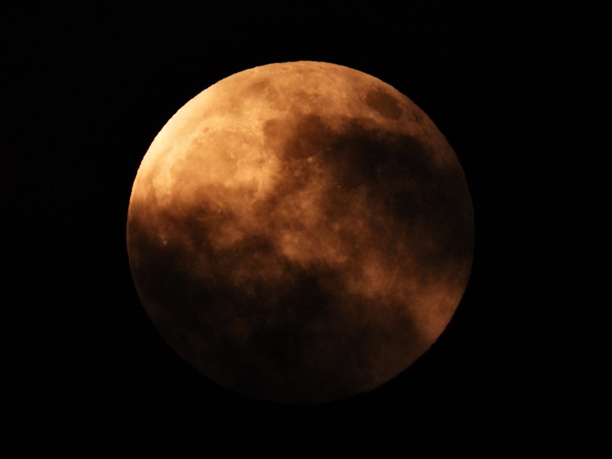 BethDuncan, M.Ed tweet media