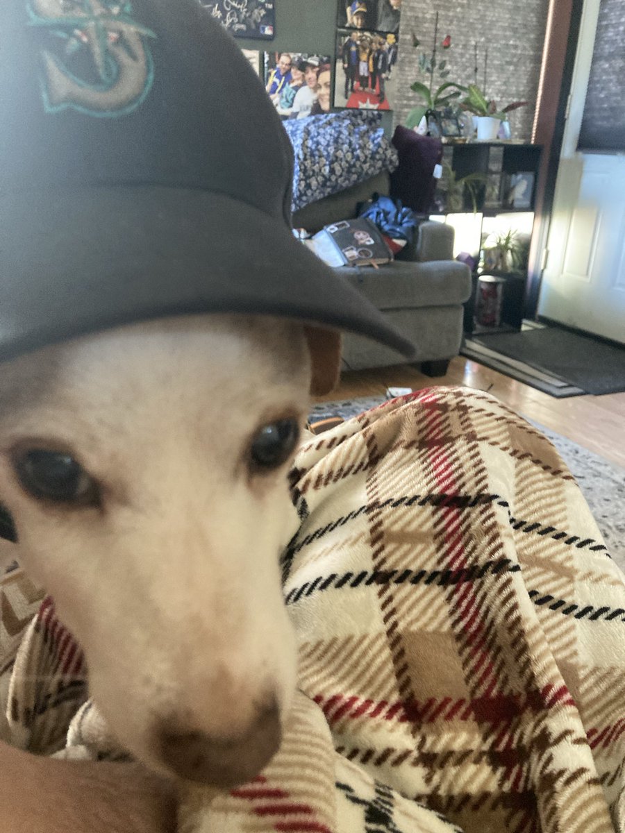 Marinerswillwin's tweet image. My pup says, “theyre winning big time today, Papa!!”

#mariners #ALDS #Tigers #Seattle