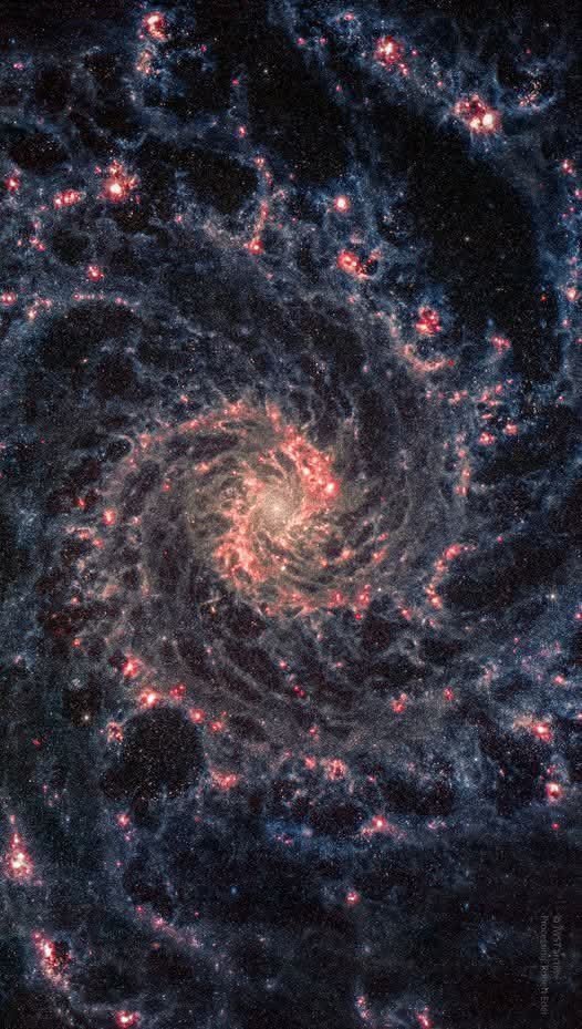 This is the Phantom Galaxy (M74), about 32 million light-years away from Earth and spans around 95,000 light years (almost as big as the Milky Way). It contains about 100 billion stars 
NASA