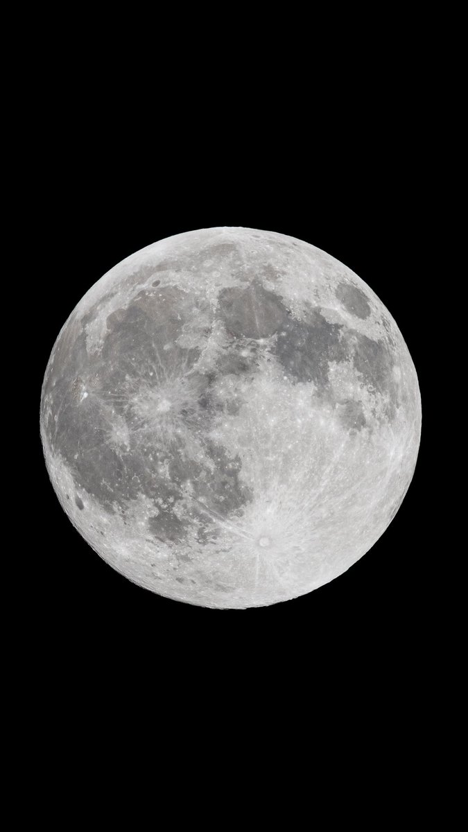 Tom Citoleux tweet media